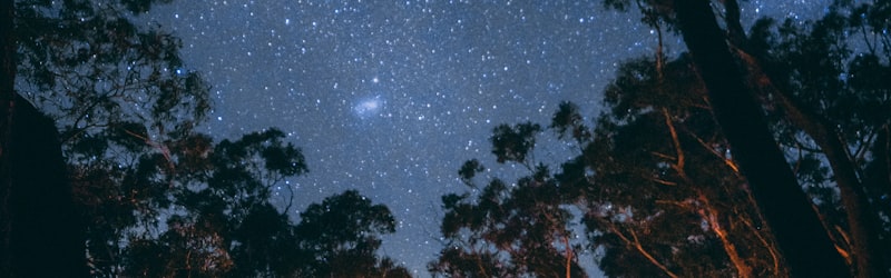 轻量化荒野露营装备套装展示，包括帐篷、睡袋、炊具等，背景为森林